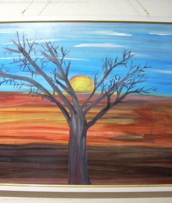 l-albero-di-casa-al-tramonto