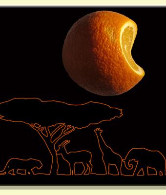il-cammino-dell-eclisse