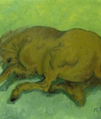 cavallo