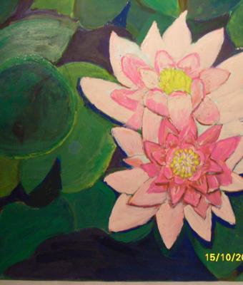 fiori-sul-acqua