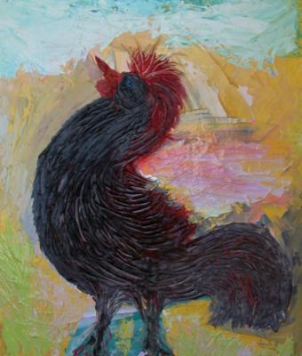 il-gallo-nero-ripopolamento-i