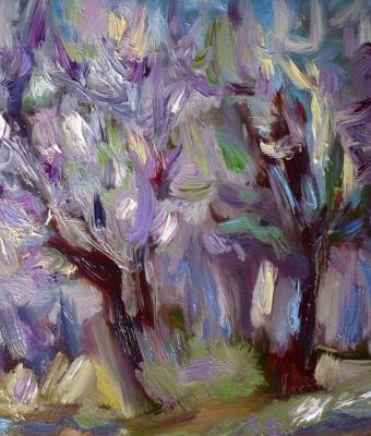 acacias-in-violet