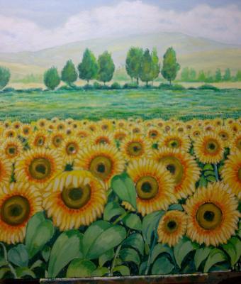 girasoli