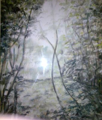 luce