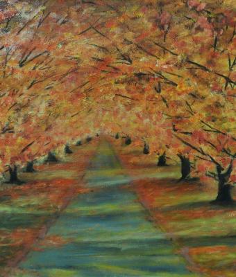 passeggiata-autunnale