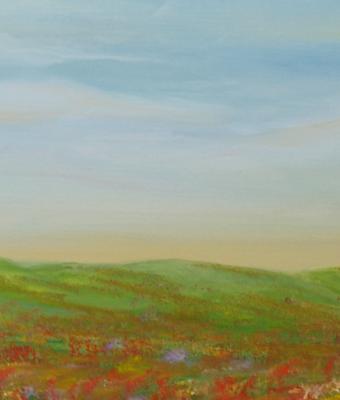 colline-in-fiore