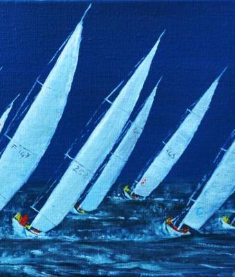 vele-in-regata