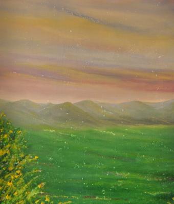 ginestra-in-fiore