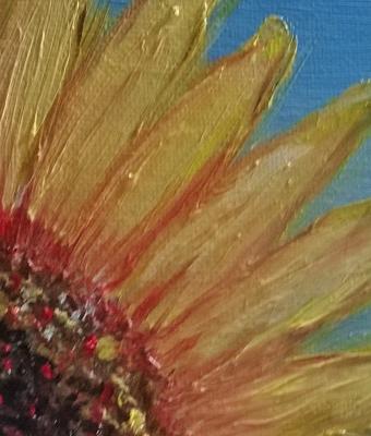 spicchio-di-girasole