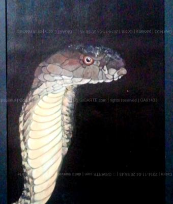 cobra