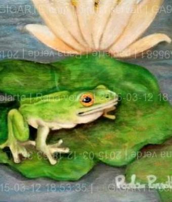 rana-verde