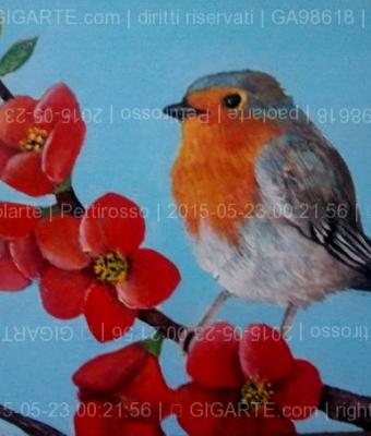 pettirosso