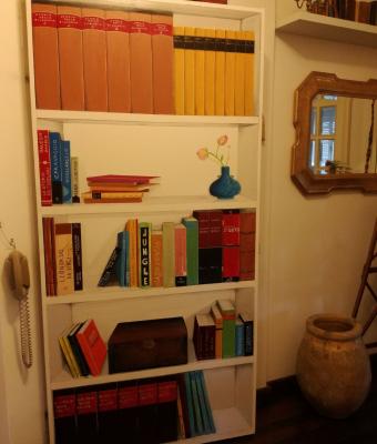 libreria-dipinta-su-porta