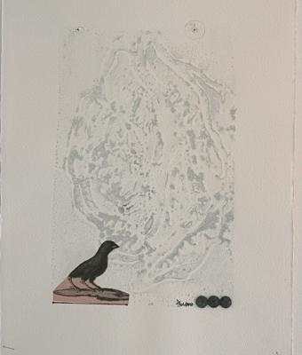 black-bird-grey-rose