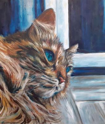gatto-sul-pavimento