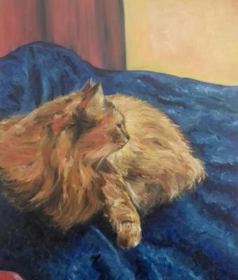 gatto-sul-letto