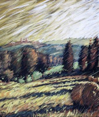 campodi-fieno