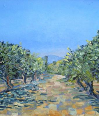 in-cammino-tra-gli-ulivi