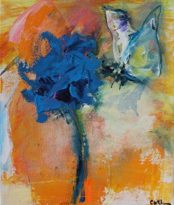 la-farfalla-e-il-fiordaliso-20