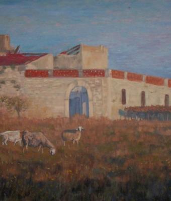 campagne-di-ruvo-di-puglia-u