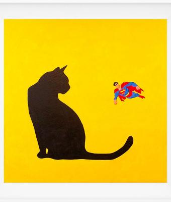 chat-et-superman