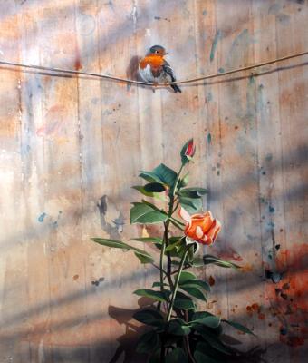 equilibrista-per-amore