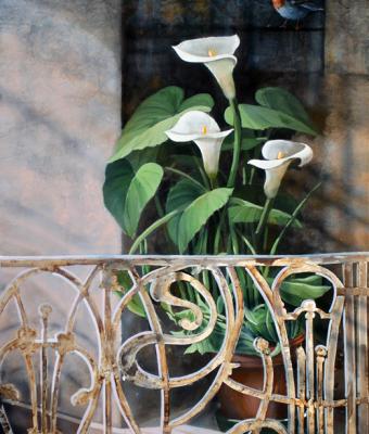 il-balcone-delle-calle