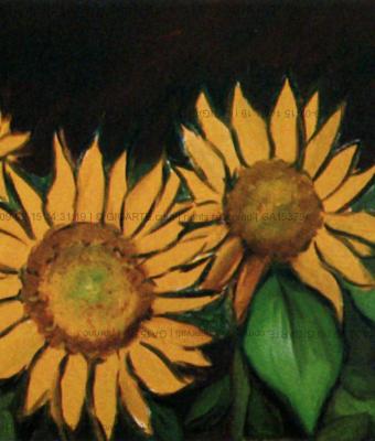 campo-di-girasoli
