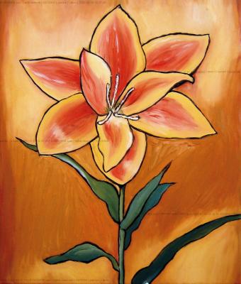 lilium