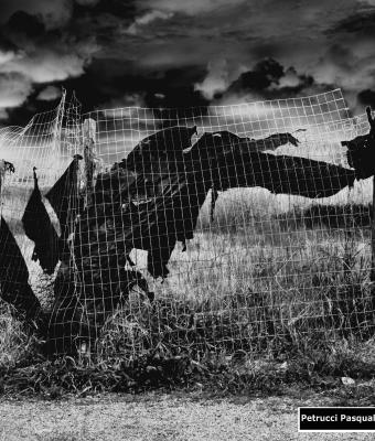 contemporary-realism-01