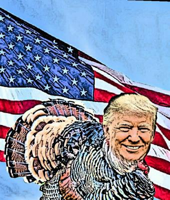 the-turkey