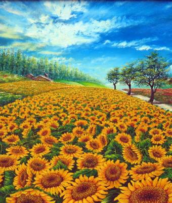 girasoli-in-prospettiva