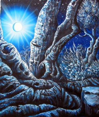 luci-e-ombre-di-una-notte-fant