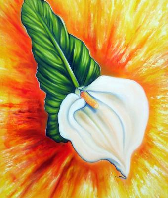 calla-vista-aerea
