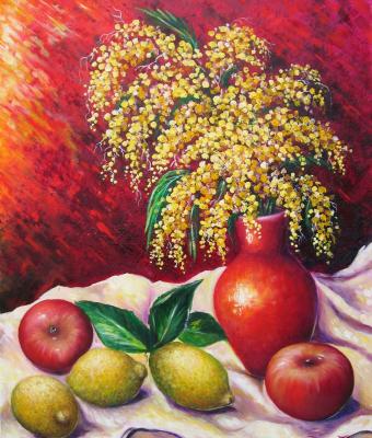 mimose-in-vaso