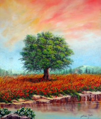 colori-d-estate