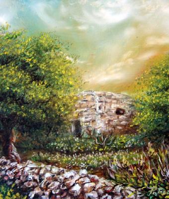 casolare-nel-verde