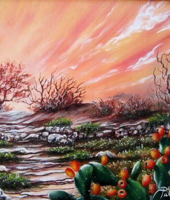 tramonto-di-campagna