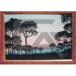pini-a-brisighella-tramonto