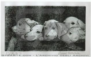 cucciolata