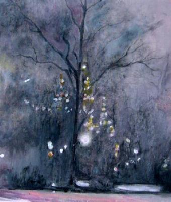 luci-tra-gli-alberi