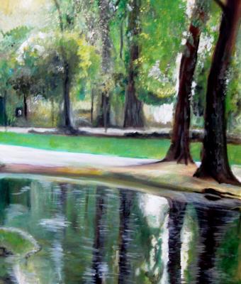 riflessi