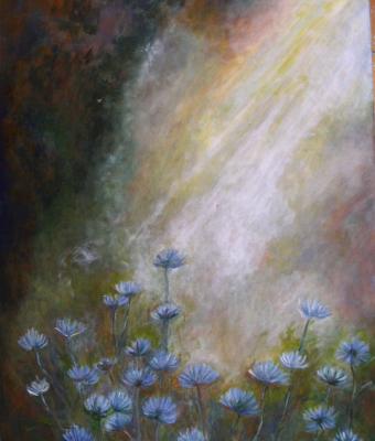 fiori-selvatici