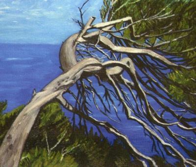 pubblicazione-sul-catalogo-arte-fiera-padova-dell-opera-quotl-albero-piegatoquot