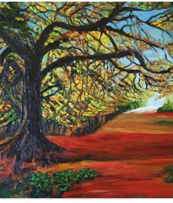 quotuna-strada-nel-boscoquo