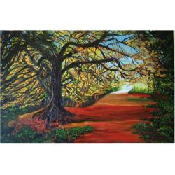 quotuna-strada-nel-boscoquo