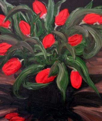 tulipani-rossi
