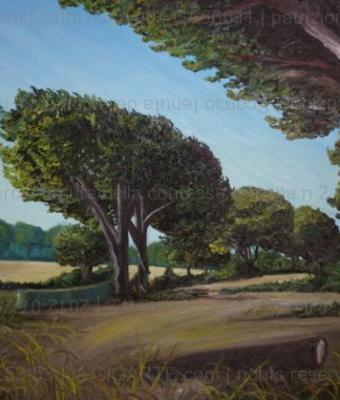 scorcio-tenuta-della-contessa