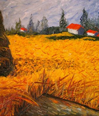 campo-di-grano