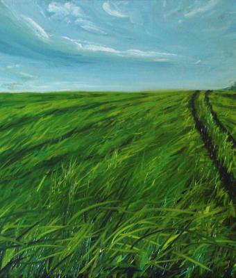 campo-verde